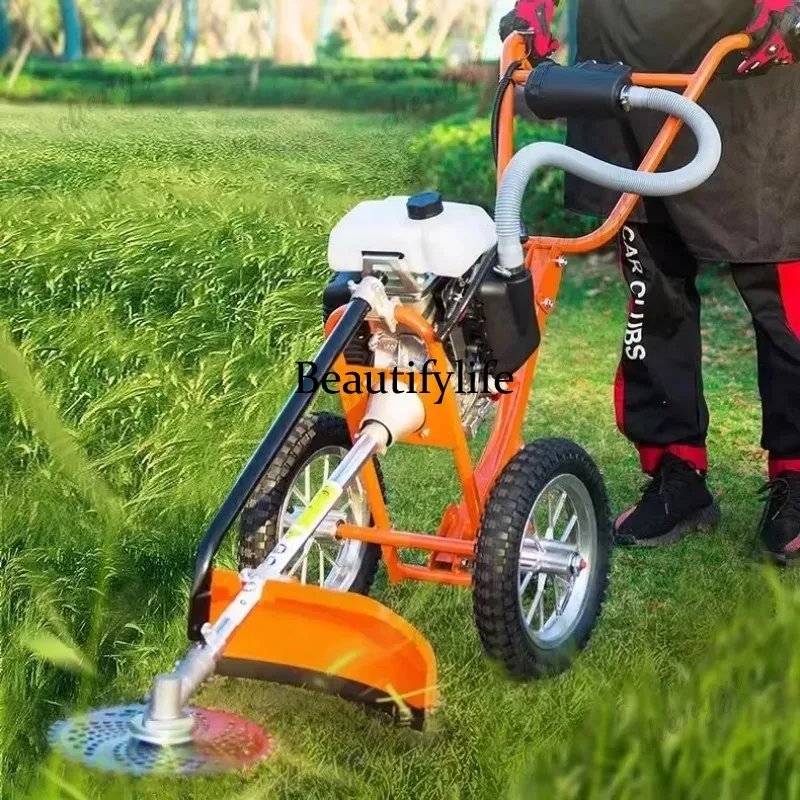 L178 Lawn mower hand push lawn - огляд і ціна Power Tools Garden