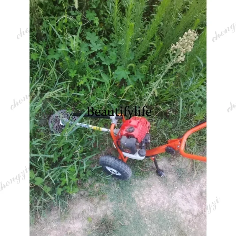 L178 Lawn mower hand push lawn - огляд і ціна Power Tools Garden